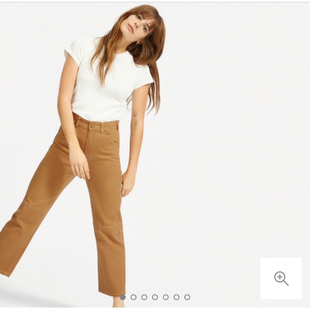 Everlane Carpenter Pant